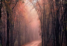 2026年4月起多家银行调整溢缴款政策，信用卡多还的钱取现是否还收手续费？