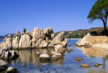 2026年4月起多家银行调整溢缴款政策，信用卡多还的钱取现是否还收手续费？